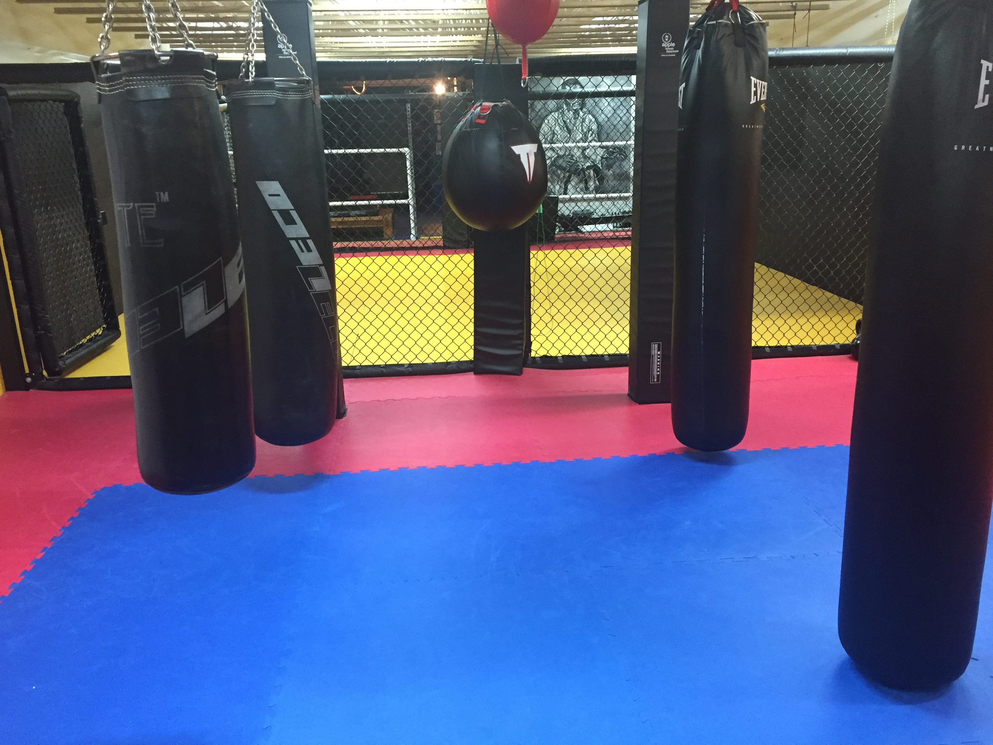 Training room with five punching bags.