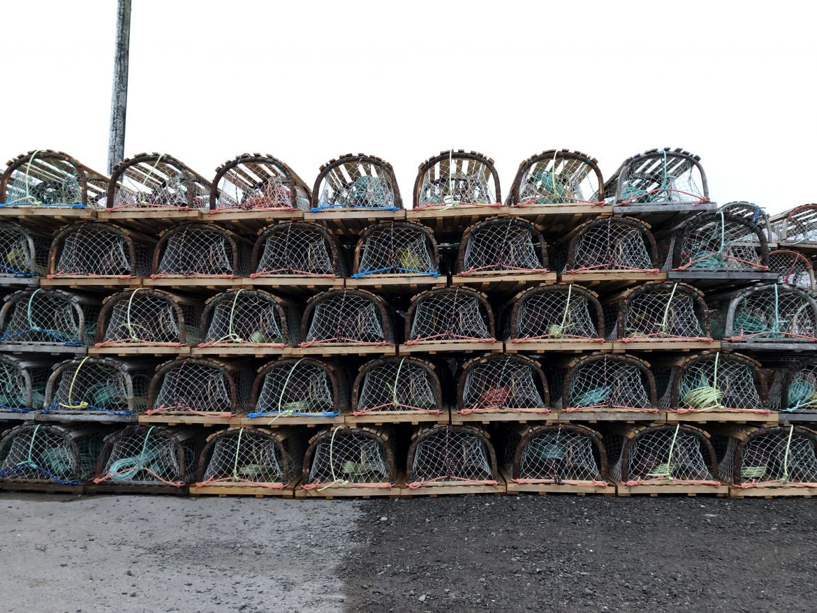 Rows of lobster traps piled on top of each other